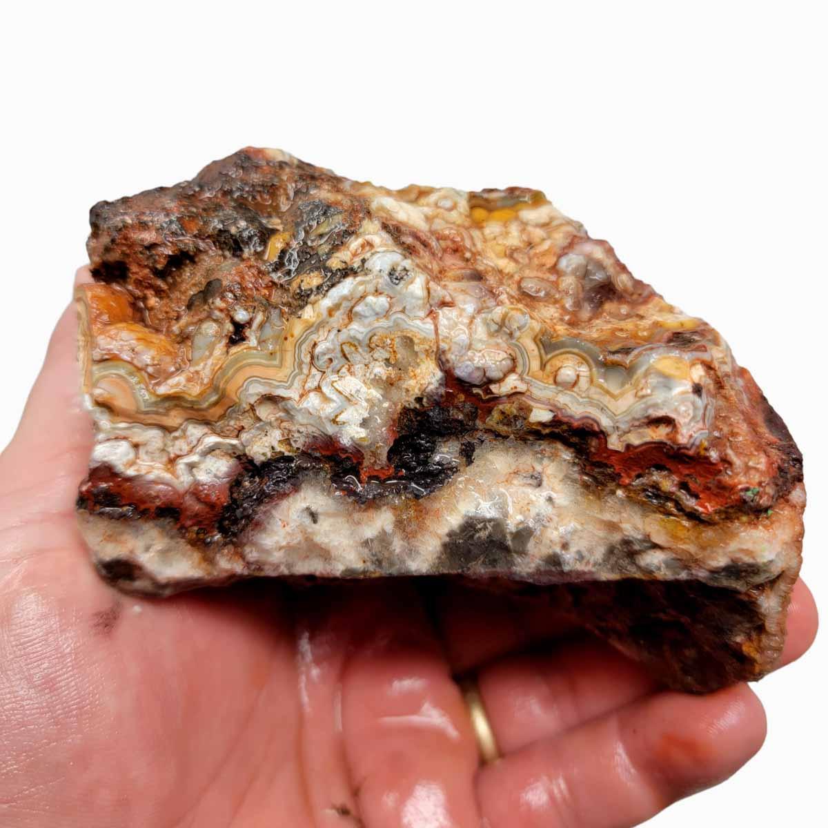 Crazy Lace Agate Lapidary Rough Chunk! - LapidaryCentral