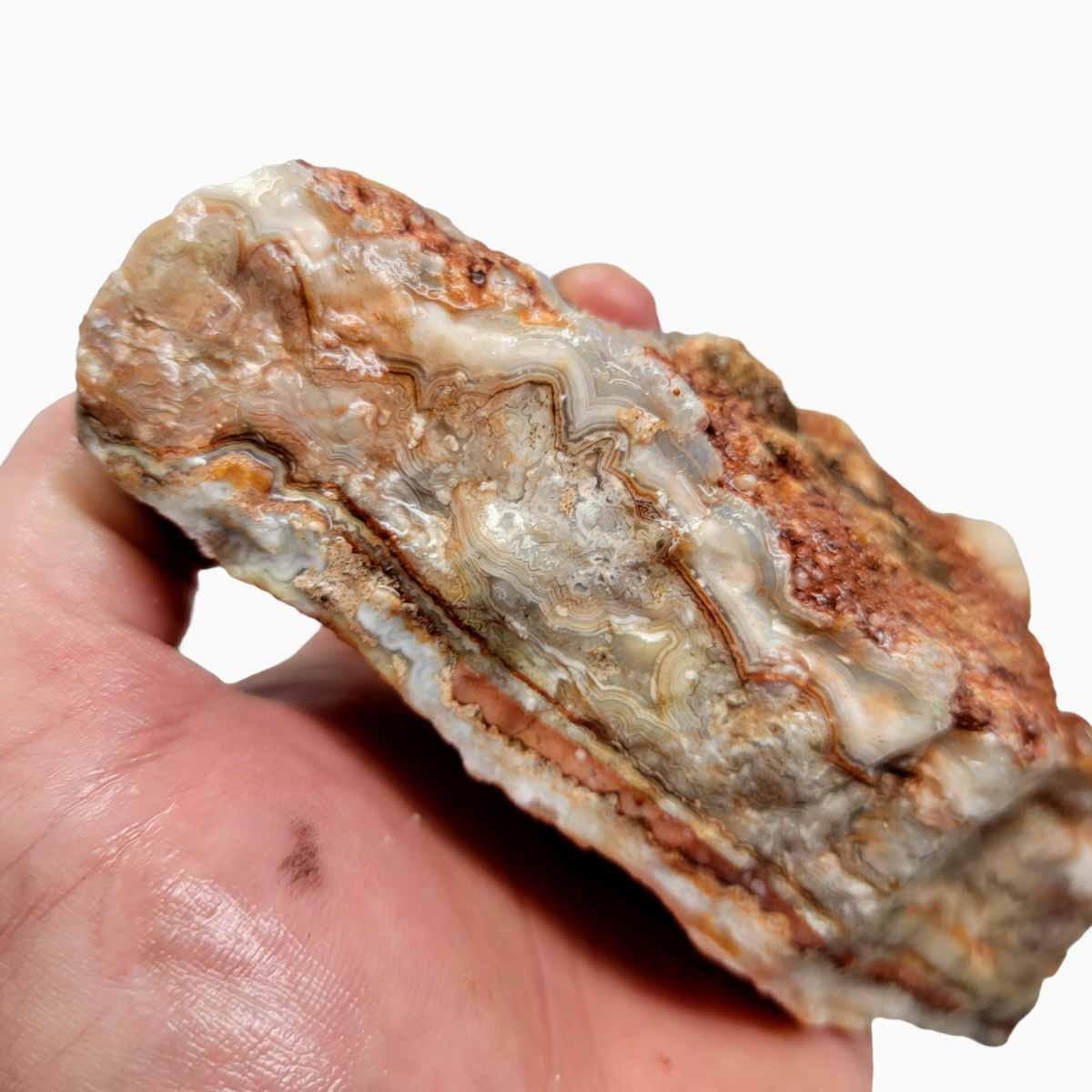 Crazy Lace Agate Rough Chunk! - LapidaryCentral