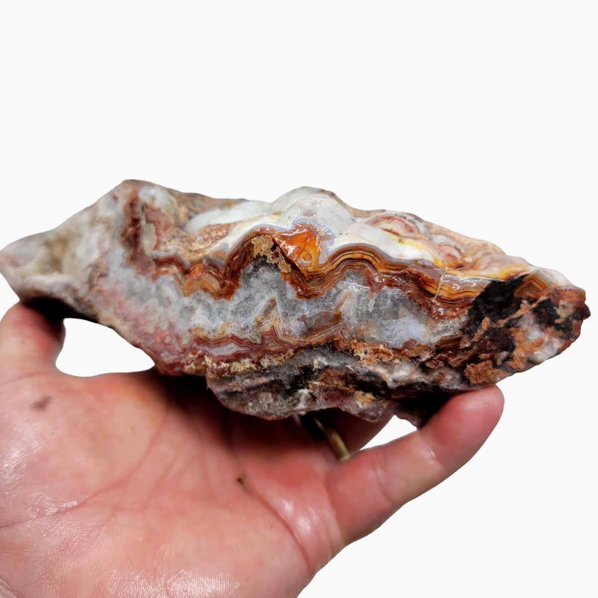 Crazy Lace Agate Lapidary Rough Chunk! - LapidaryCentral