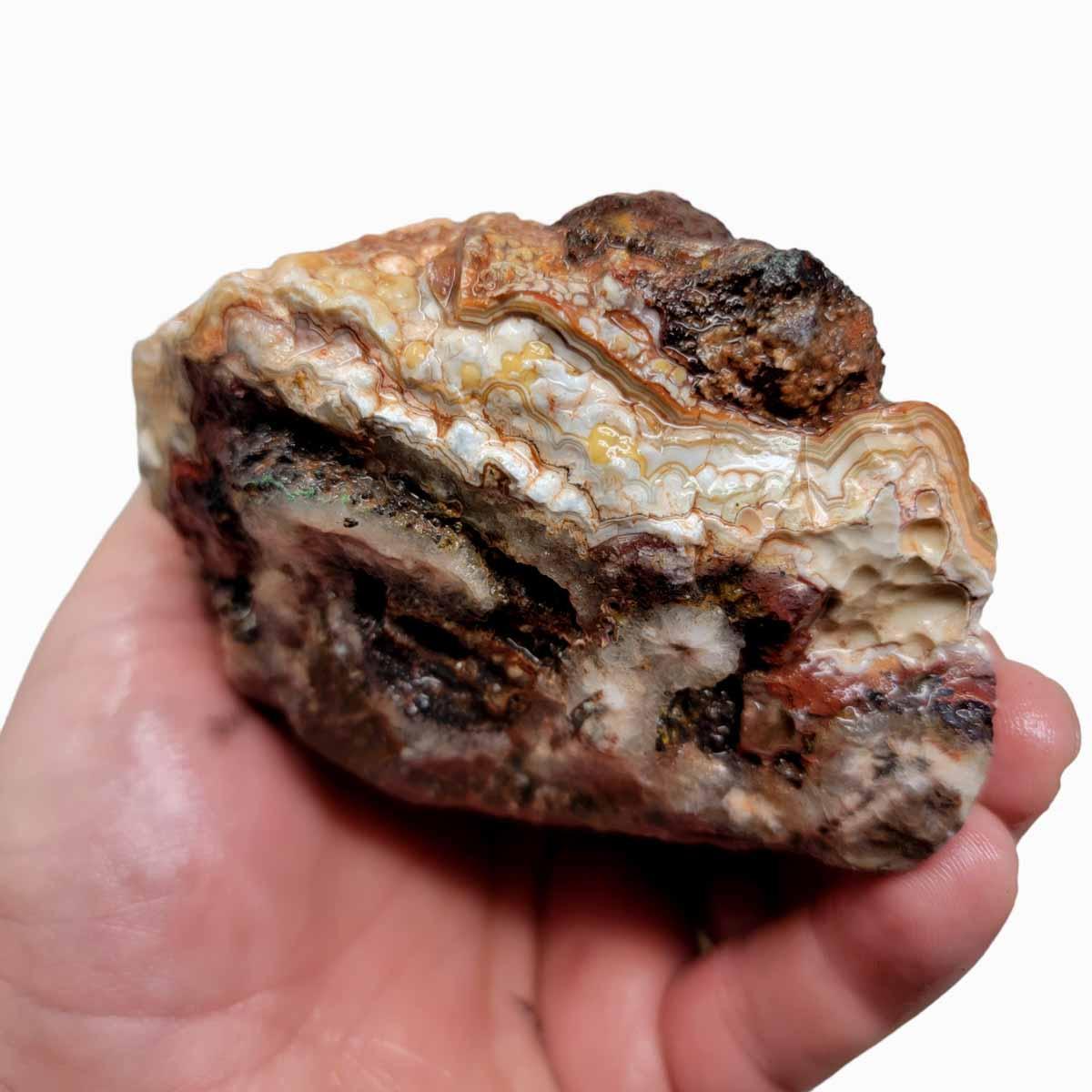 Crazy Lace Agate Lapidary Rough Chunk! - LapidaryCentral