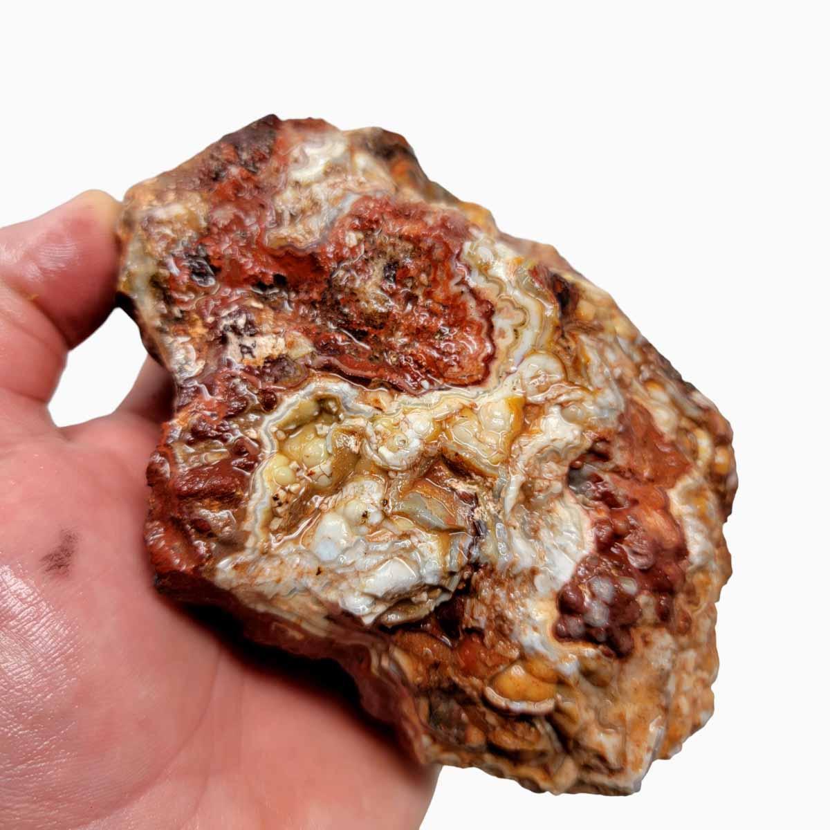 Crazy Lace Agate Lapidary Rough Chunk! - LapidaryCentral