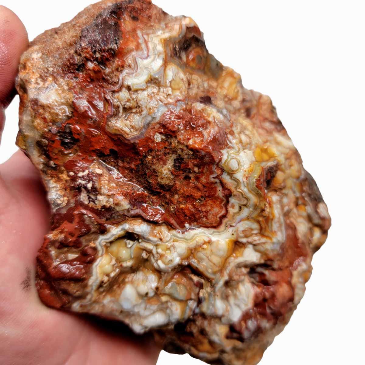 Crazy Lace Agate Lapidary Rough Chunk! - LapidaryCentral