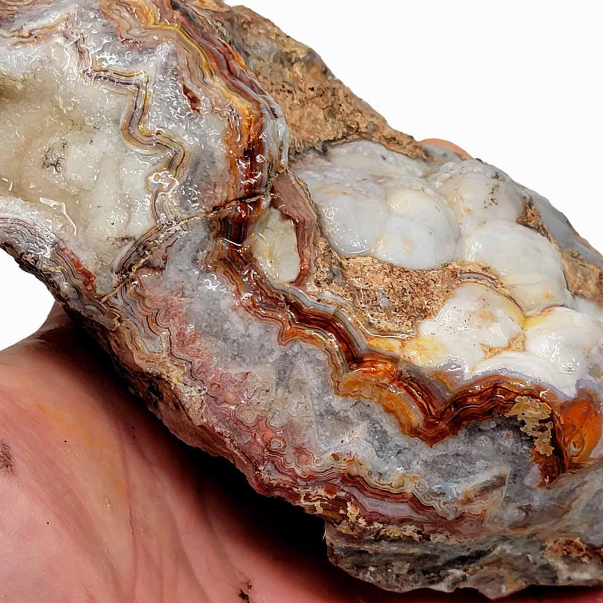 Crazy Lace Agate Lapidary Rough Chunk! - LapidaryCentral