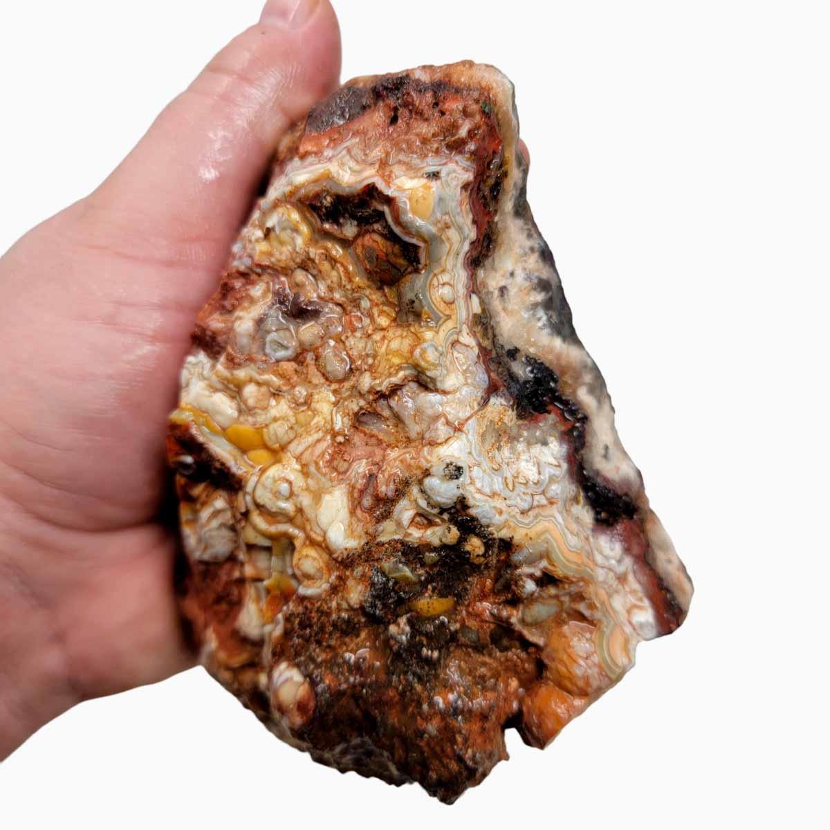 Crazy Lace Agate Lapidary Rough Chunk! - LapidaryCentral