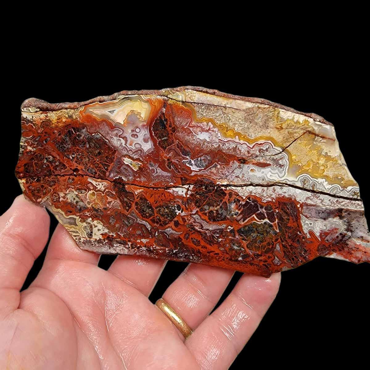 Lacy Rocks Slabs Crazy Lace Agate Slab! Lapidary Stone Slab!