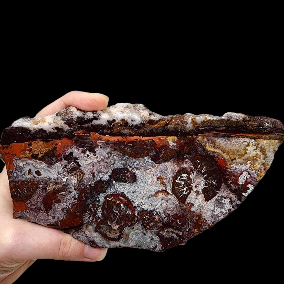 Crazy Lace Agate Slab!  Lapidary Stone Slab! - LapidaryCentral