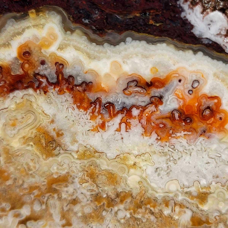 Crazy Lace Agate Slab!  Lapidary Stone Slab! - LapidaryCentral