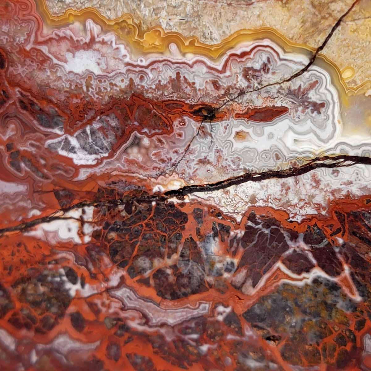 Lacy Rocks Slabs Crazy Lace Agate Slab! Lapidary Stone Slab!