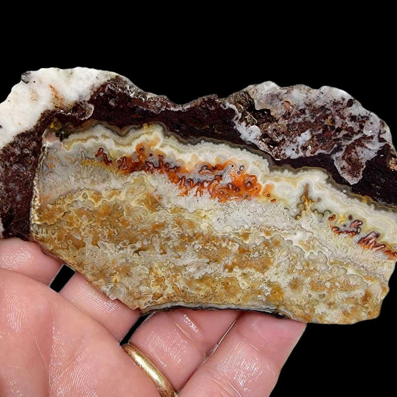 Crazy Lace Agate Slab!  Lapidary Stone Slab! - LapidaryCentral