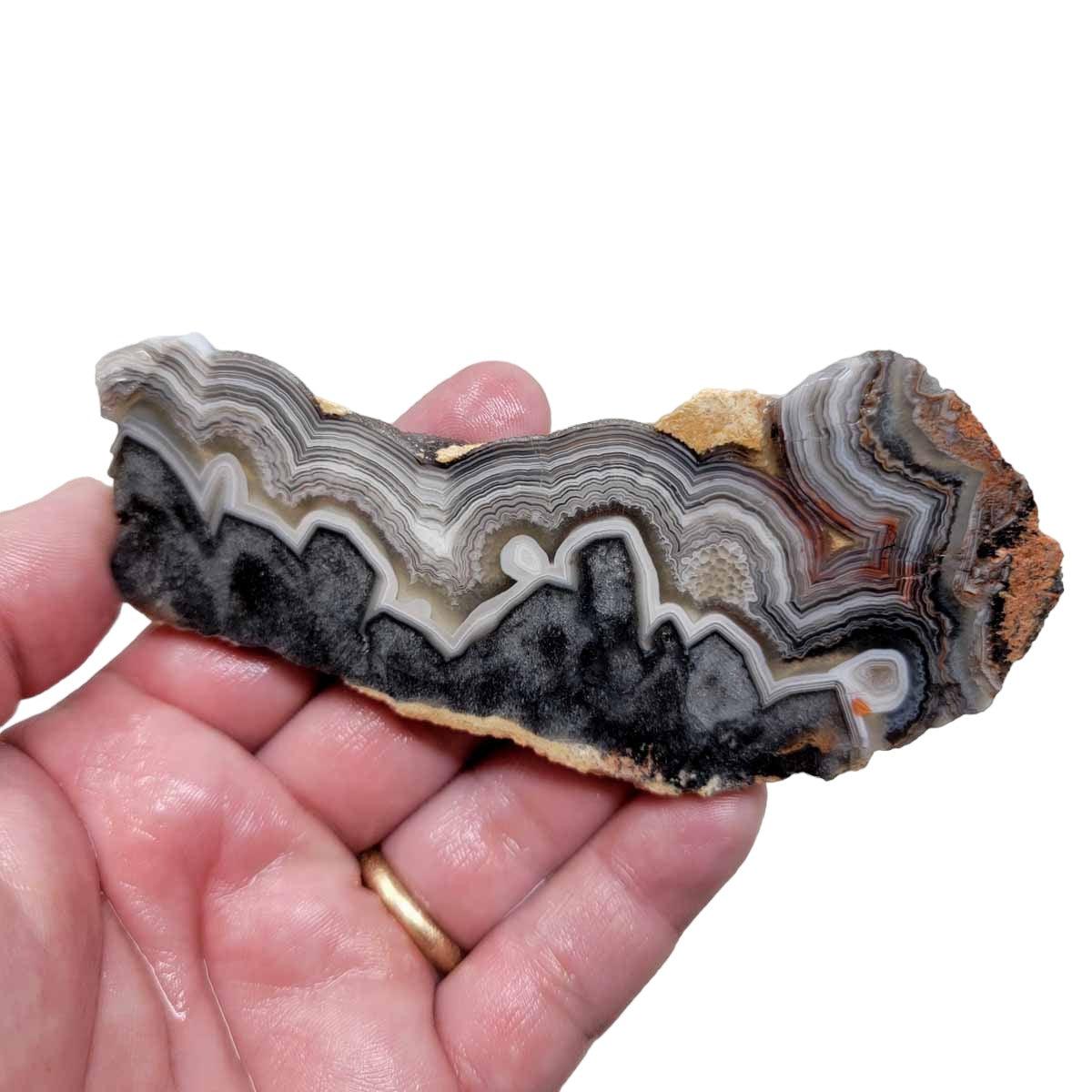 Old Vein Crazy Lace Agate Slab! Lapidary Stone Slab! - Lapidary Central