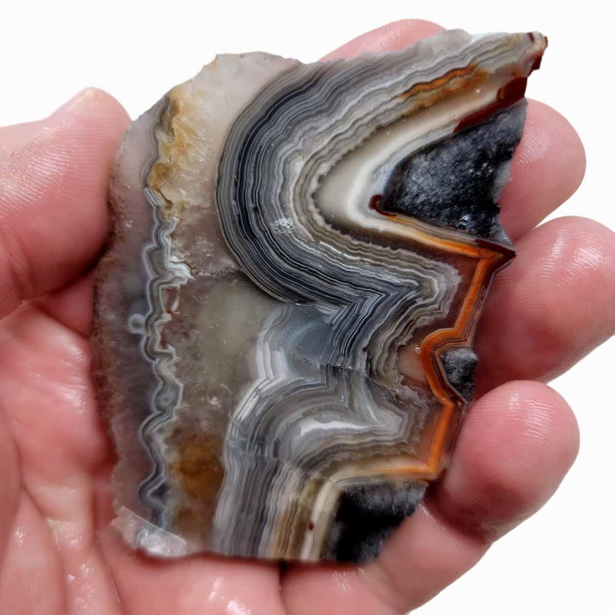 Old Vein Crazy Lace Agate Slab!  Lapidary Stone Slab! - LapidaryCentral