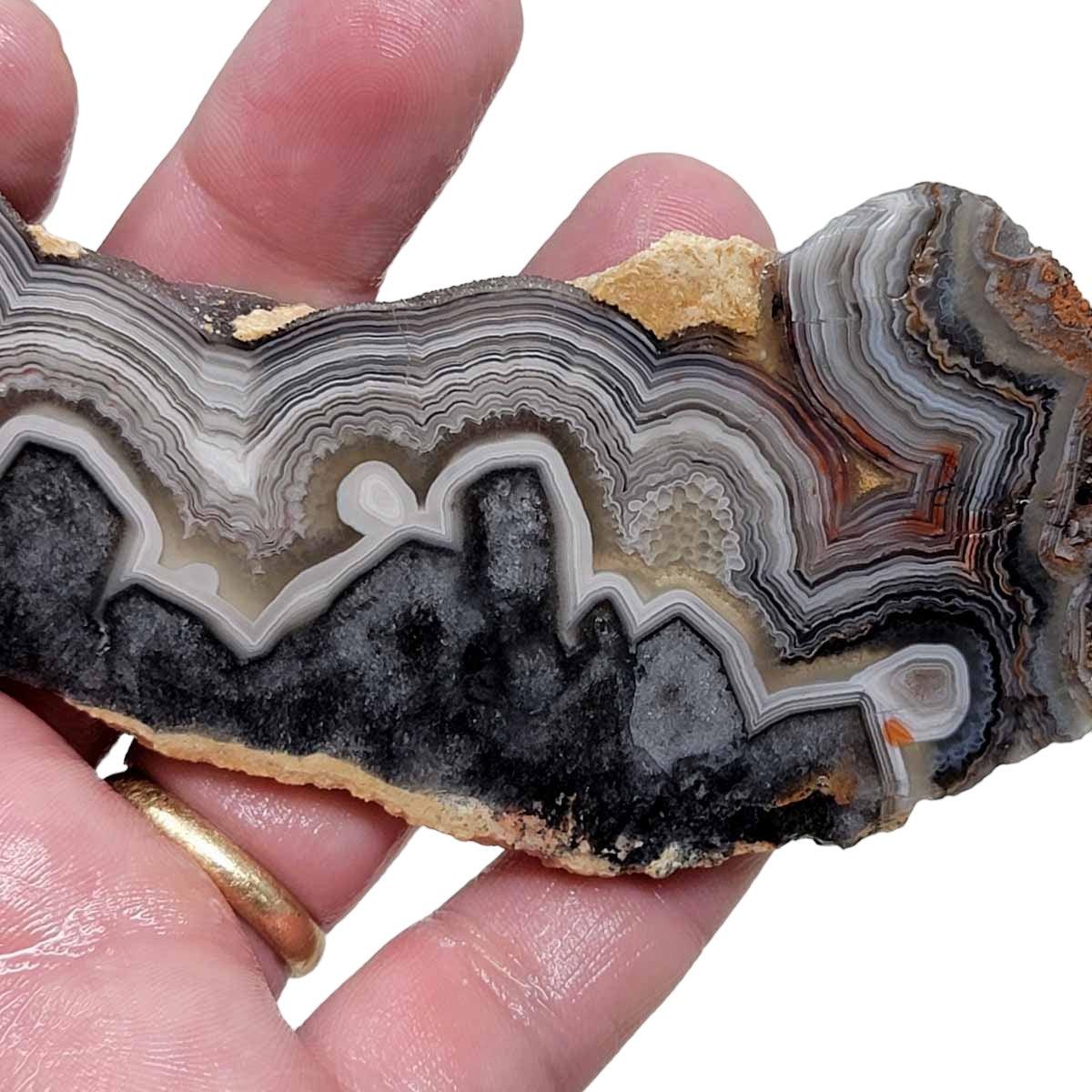 Old Vein Crazy Lace Agate Slab! Lapidary Stone Slab! - Lapidary Central