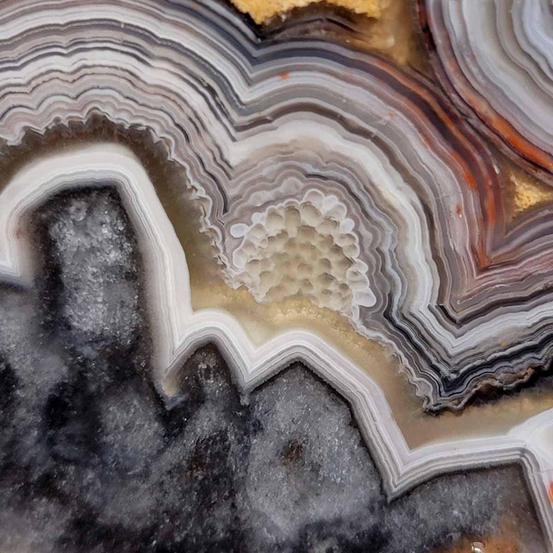 Old Vein Crazy Lace Agate Slab! Lapidary Stone Slab! - Lapidary Central