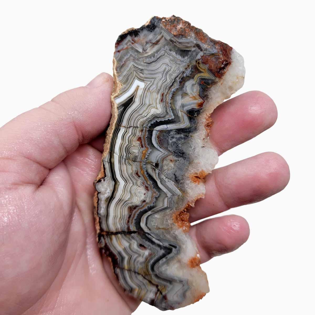 Old Vein Crazy Lace Agate Slab!  Lapidary Stone Slab! - LapidaryCentral