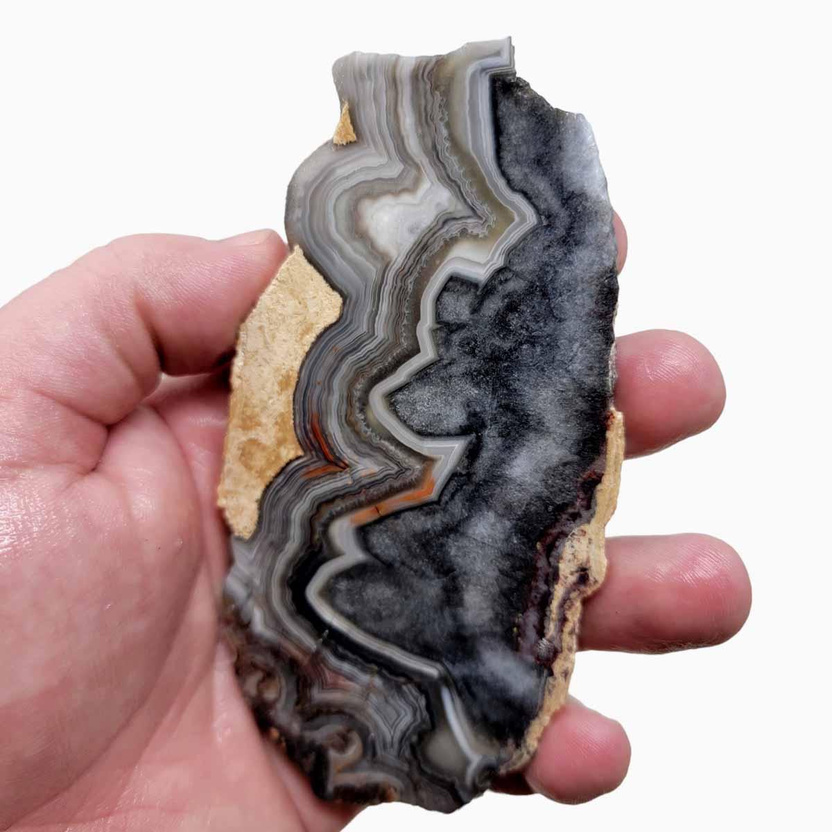 Old Vein Crazy Lace Agate Slab! Lapidary Stone Slab!