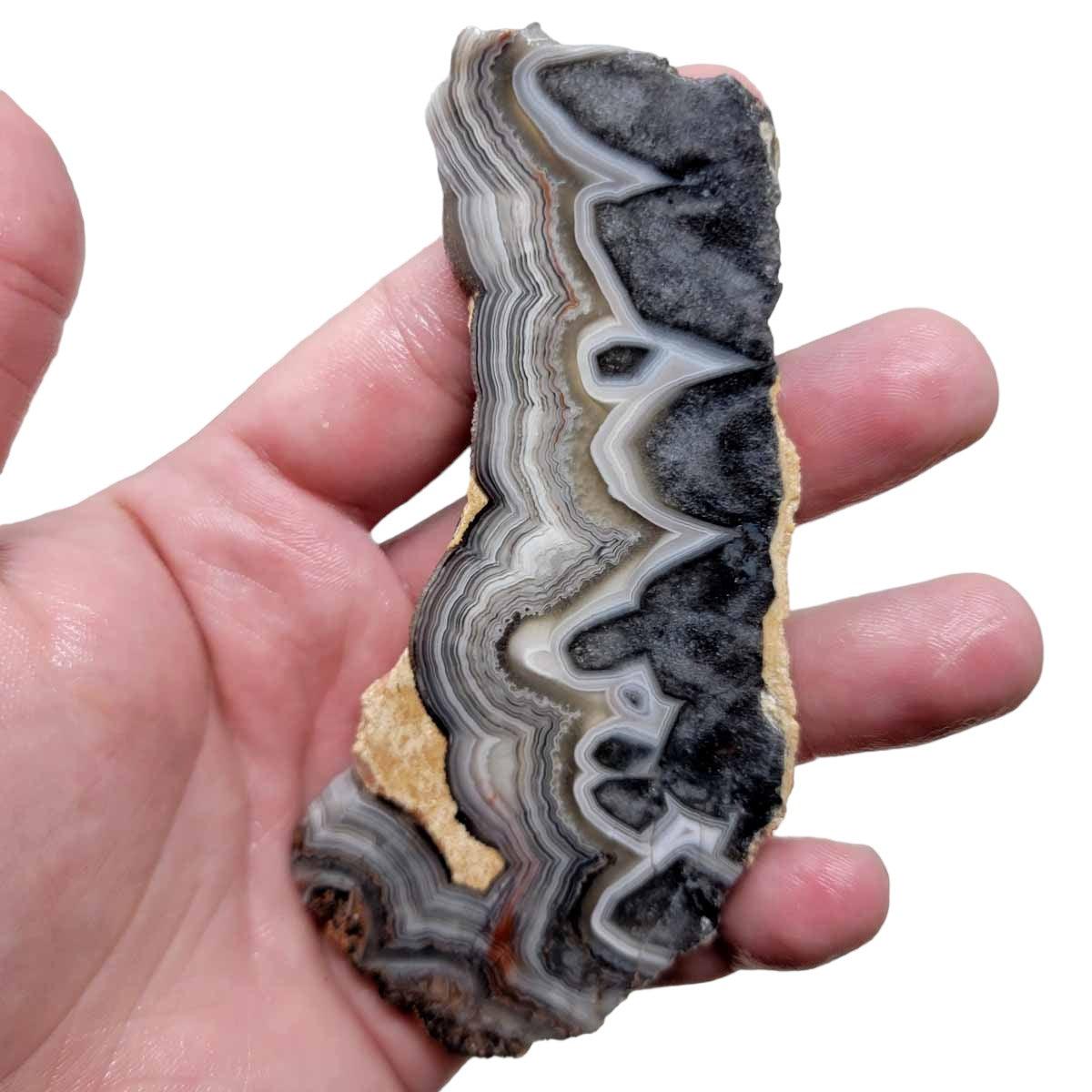 Old Vein Crazy Lace Agate Slab! Lapidary Stone Slab! - Lapidary Central