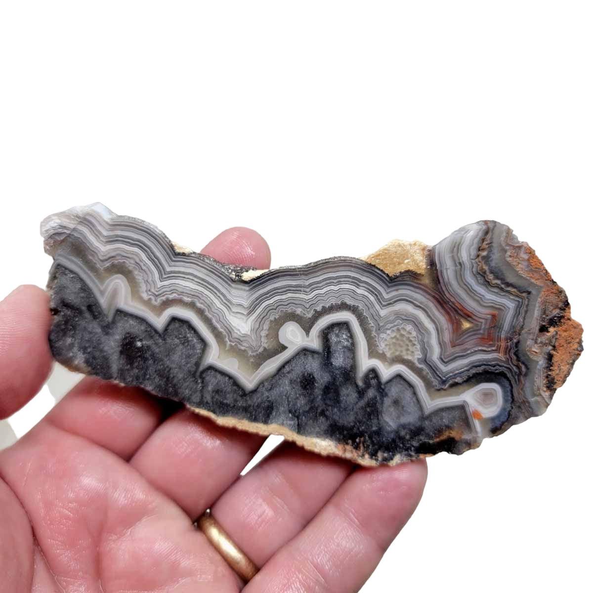 Old Vein Crazy Lace Agate Slab! Lapidary Stone Slab!