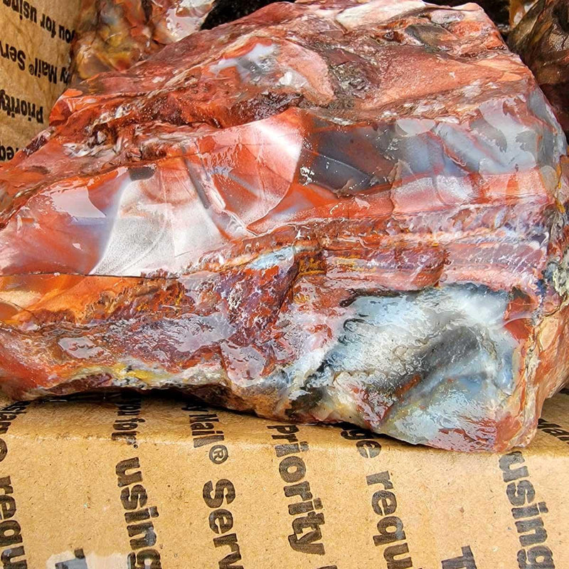 Sarape Jasper Cutting Rough Flatrate!  Great Lapidary Cutting Rough Box! - LapidaryCentral