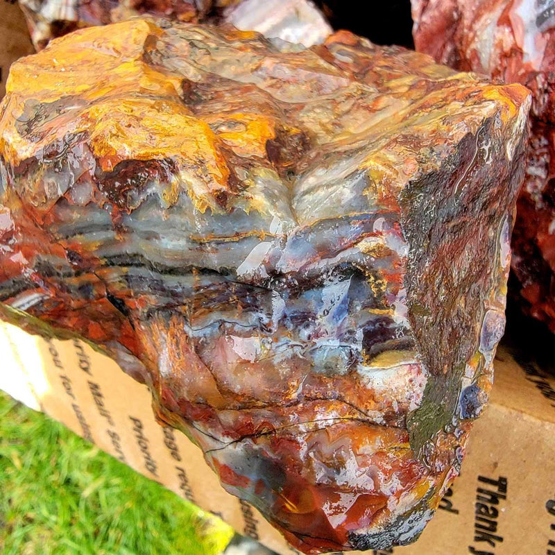 Sarape Jasper Cutting Rough Flatrate!  Great Lapidary Cutting Rough Box! - LapidaryCentral