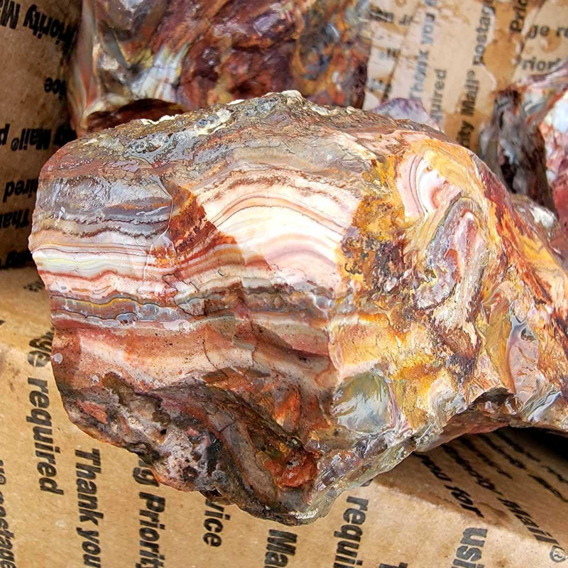 Sarape Jasper Cutting Rough Flatrate!  Great Lapidary Cutting Rough Box! - LapidaryCentral