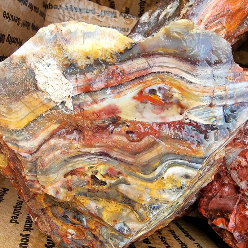Sarape Jasper Cutting Rough Flatrate!  Great Lapidary Cutting Rough Box! - LapidaryCentral