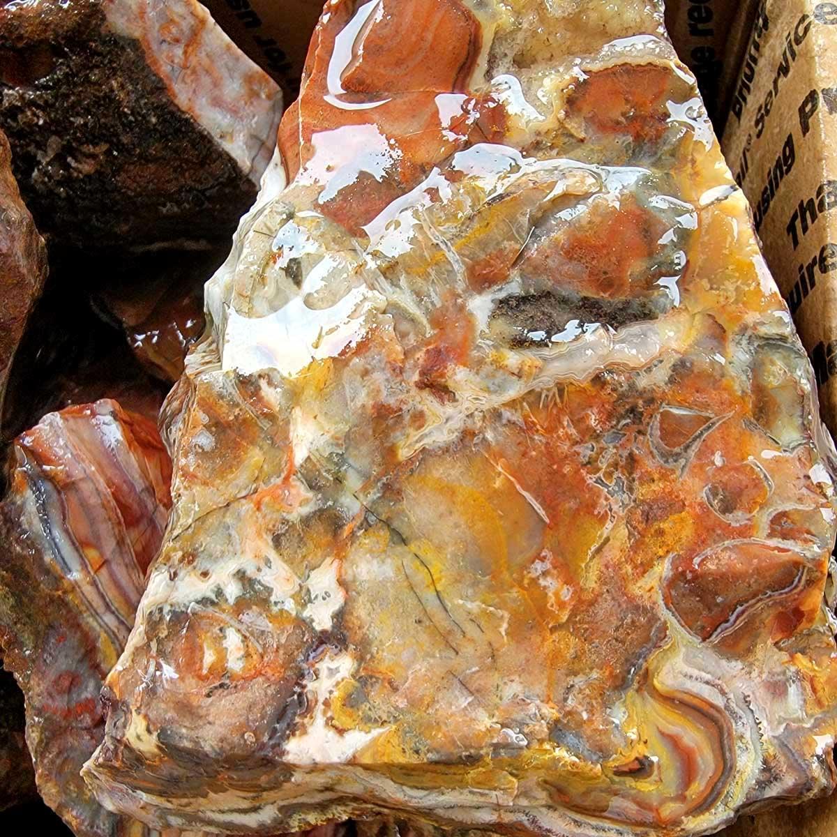 Sarape Jasper Cutting Rough Flatrate!  Great Lapidary Cutting Rough Box! - LapidaryCentral