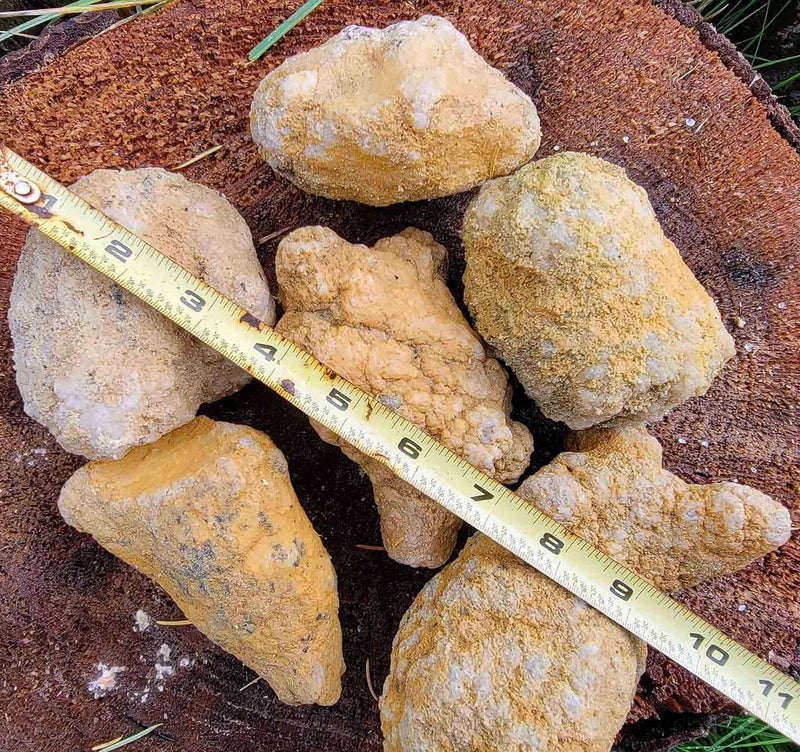 Break Your Own Geode!  Moroccan Geodes Whole Random Pull! - LapidaryCentral