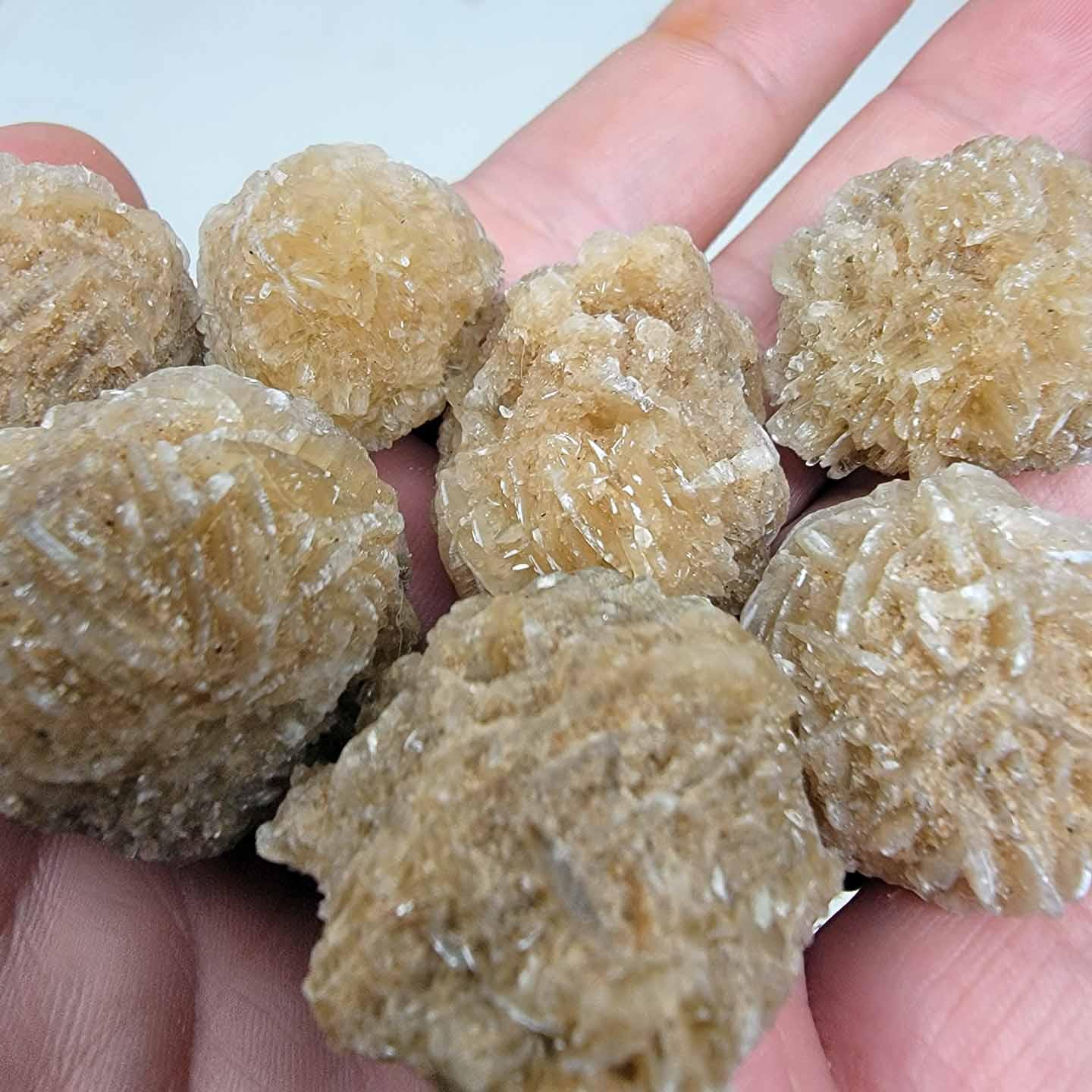 FIVE Mexican Desert Rose Selenite Crystal Formation! - LapidaryCentral