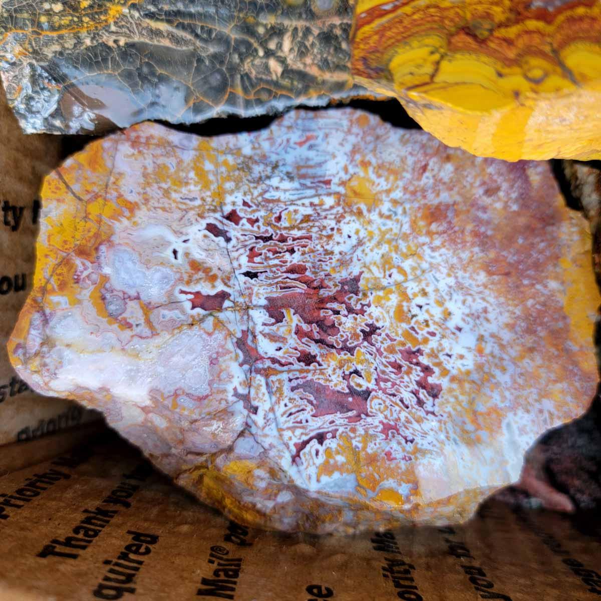 Cut and Proven & Endcut Cutting Rough Flatrate! Lapidary Stones! - Lapidary Central