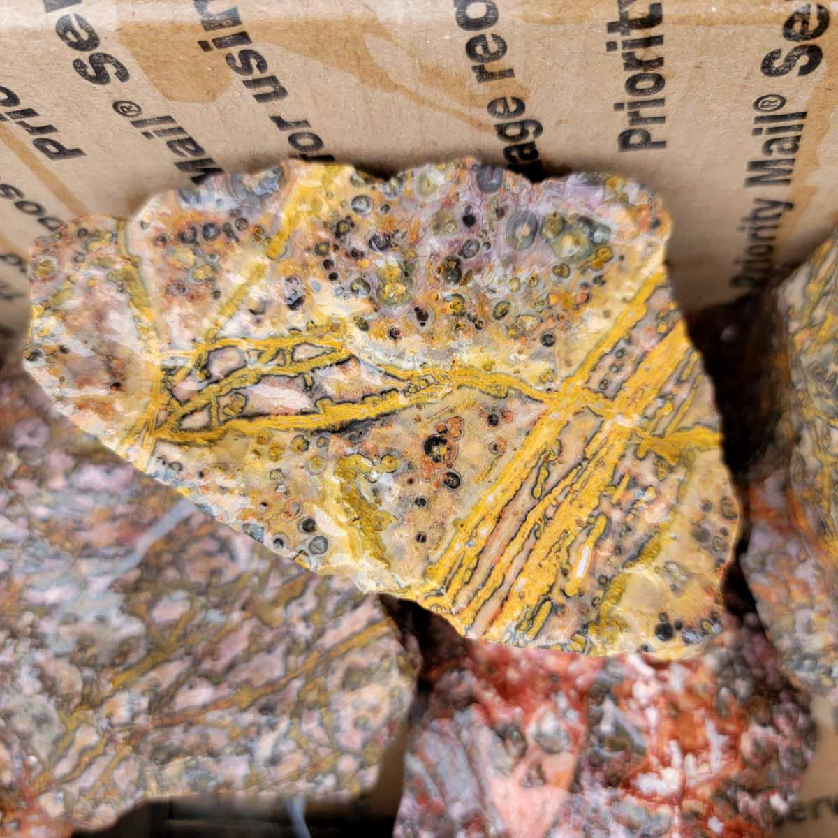 Leopard Skin Rhyolite Orbicular Cutting Rough! - Lapidary Central