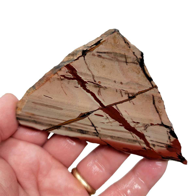 Indian Paint Jasper Death Valley Jasper Slab!  Lapidary Stone Slab! - LapidaryCentral