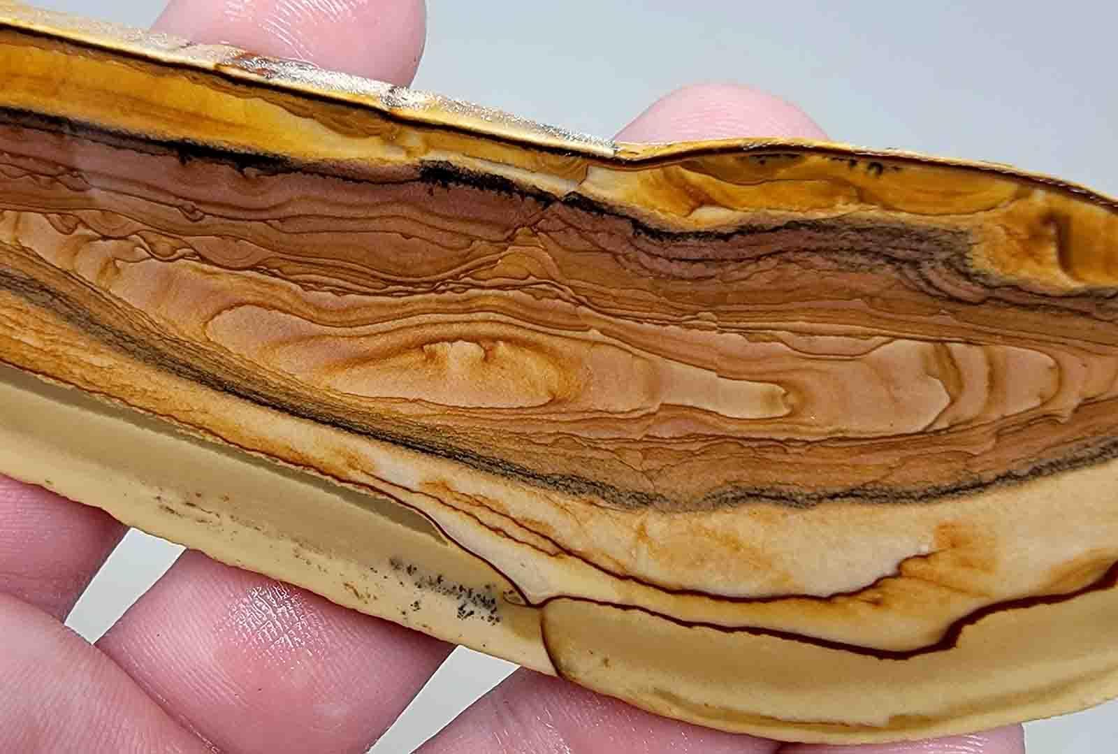 Deschutes Opal Picture Jasper Slab!  Lapidary Stone Slab! - LapidaryCentral