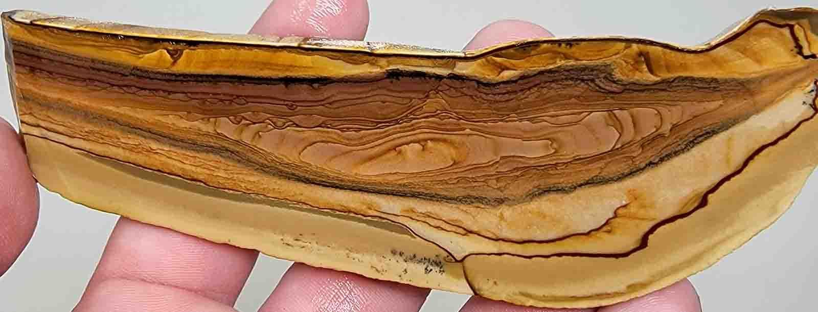 Deschutes Opal Picture Jasper Slab!  Lapidary Stone Slab! - LapidaryCentral