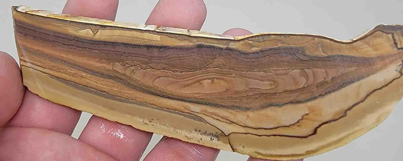 Deschutes Opal Picture Jasper Slab!  Lapidary Stone Slab! - LapidaryCentral