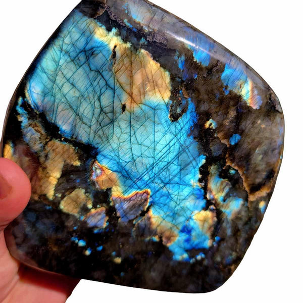 Polished AAA Labradorite Display Specimen!  High Grade! - LapidaryCentral