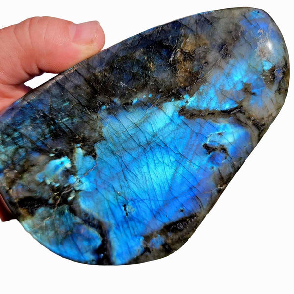 Polished AAA Labradorite Display Specimen!  High Grade! - LapidaryCentral