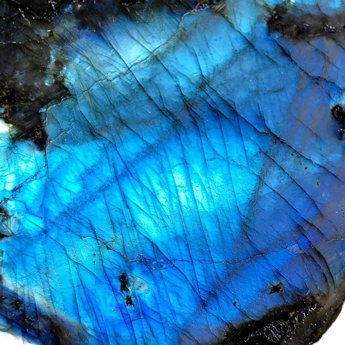 Polished AAA Labradorite Display Specimen!  High Grade! - LapidaryCentral