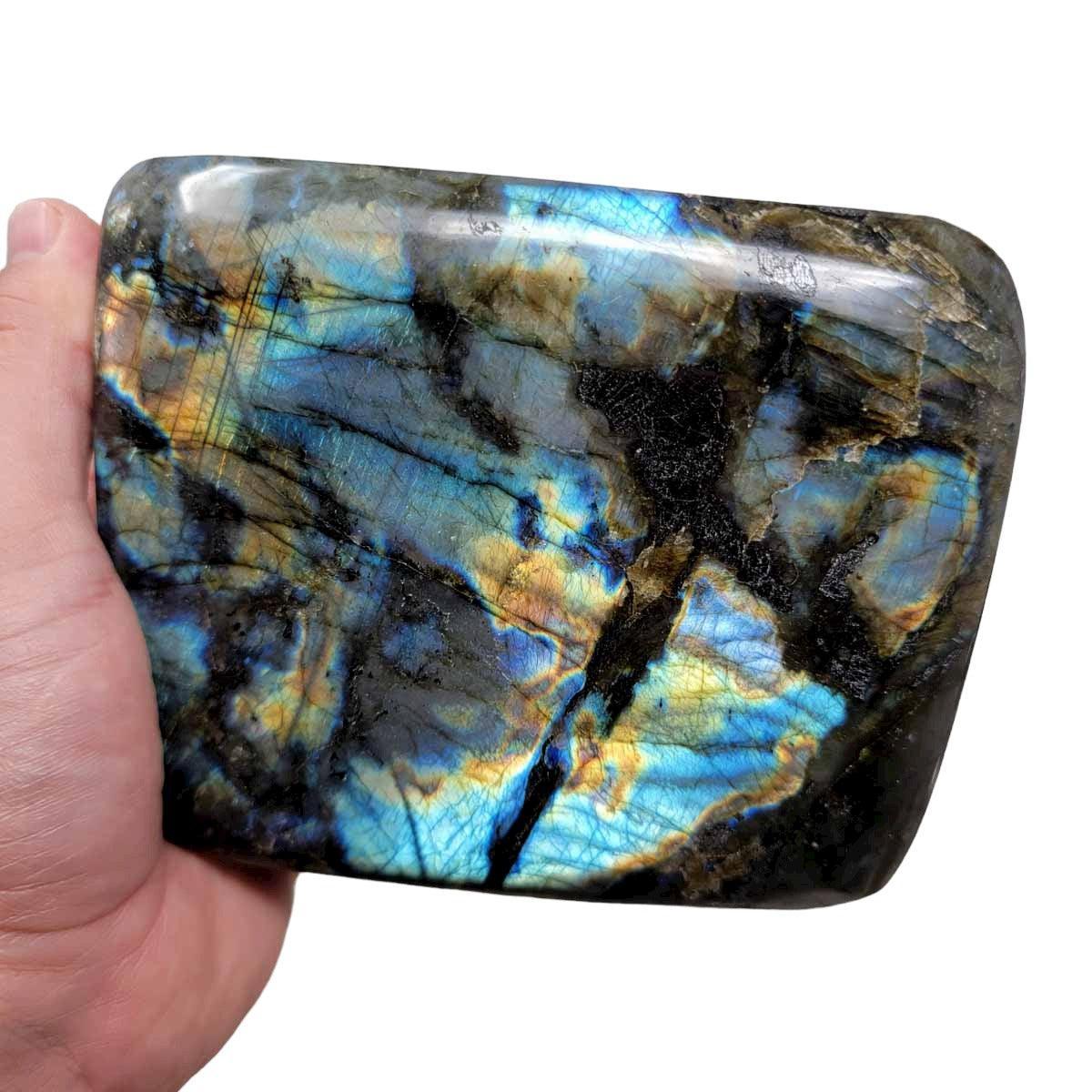 Polished AAA Labradorite Display Specimen!  High Grade! - LapidaryCentral