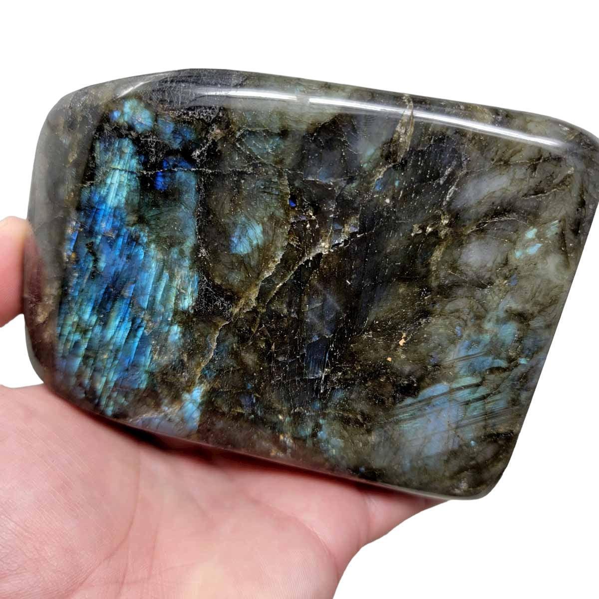 Polished Labradorite Display Specimen!  High Grade! - LapidaryCentral