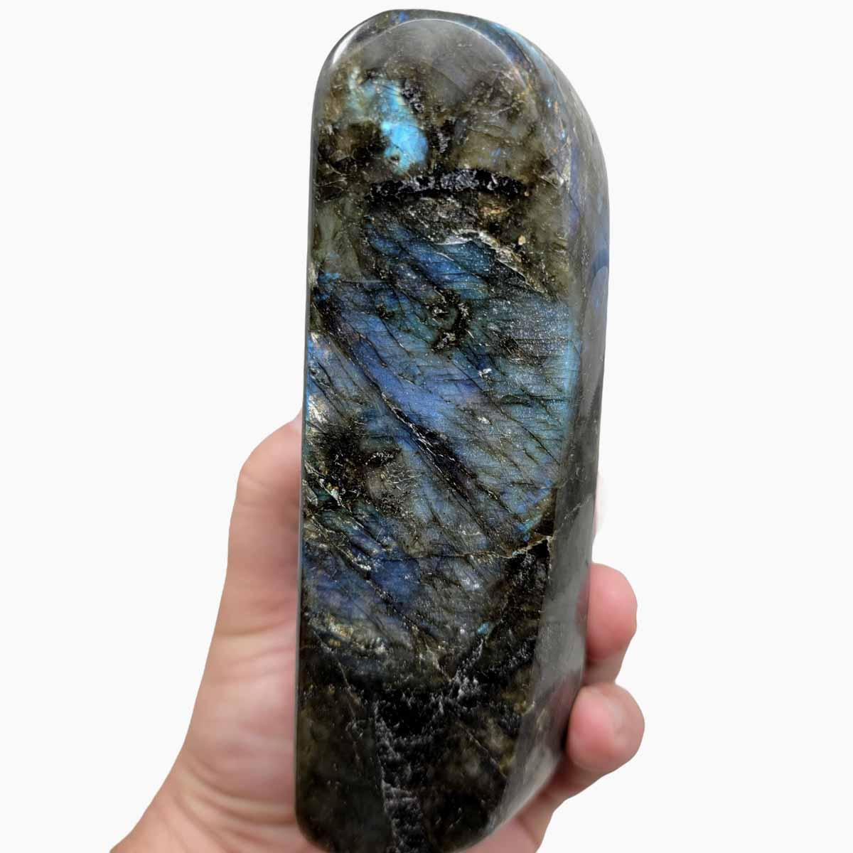 Polished AAA Labradorite Display Specimen!  High Grade! - LapidaryCentral