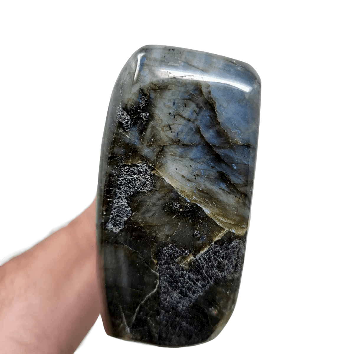 Polished AAA Labradorite Display Specimen!  High Grade! - LapidaryCentral