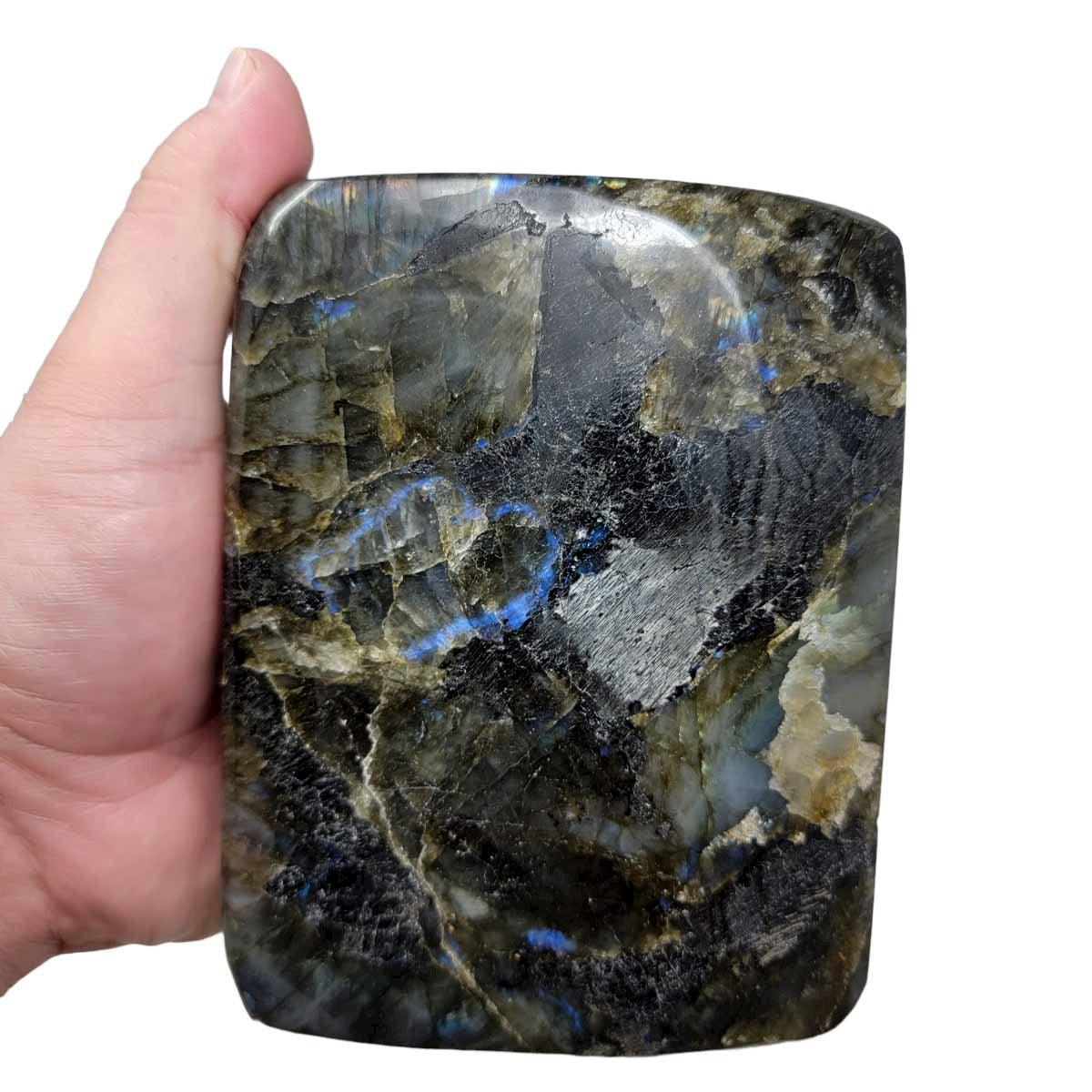 Polished AAA Labradorite Display Specimen!  High Grade! - LapidaryCentral