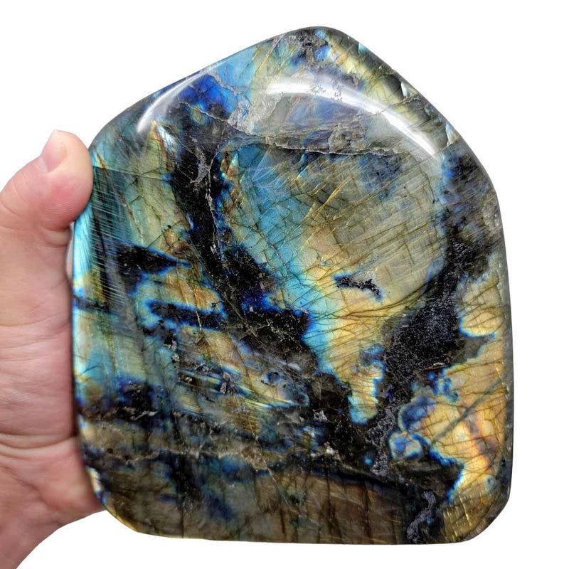 Polished AAA Labradorite Display Specimen!  High Grade! - LapidaryCentral
