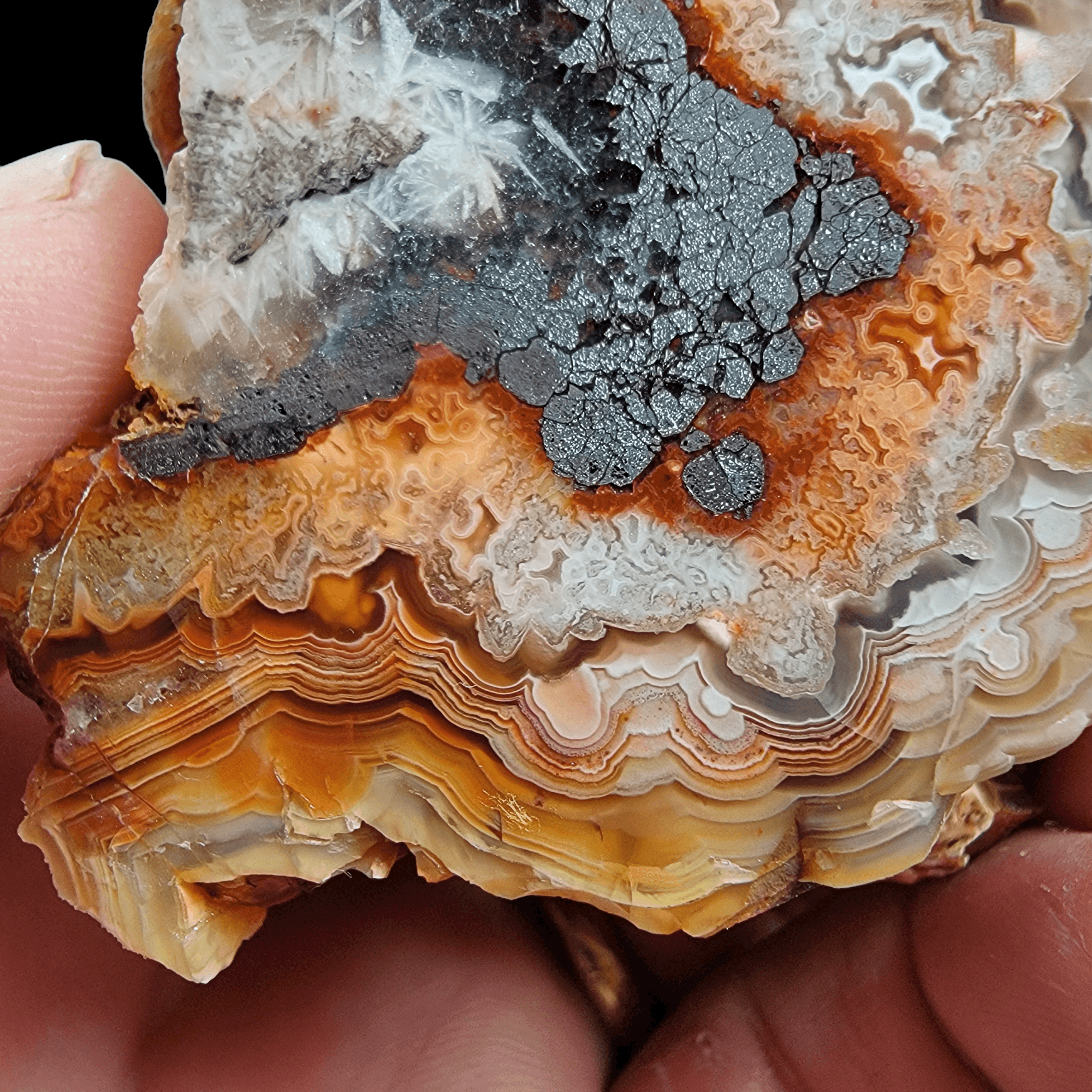 Polished Laguna Lace Agate Display Specimen! - LapidaryCentral