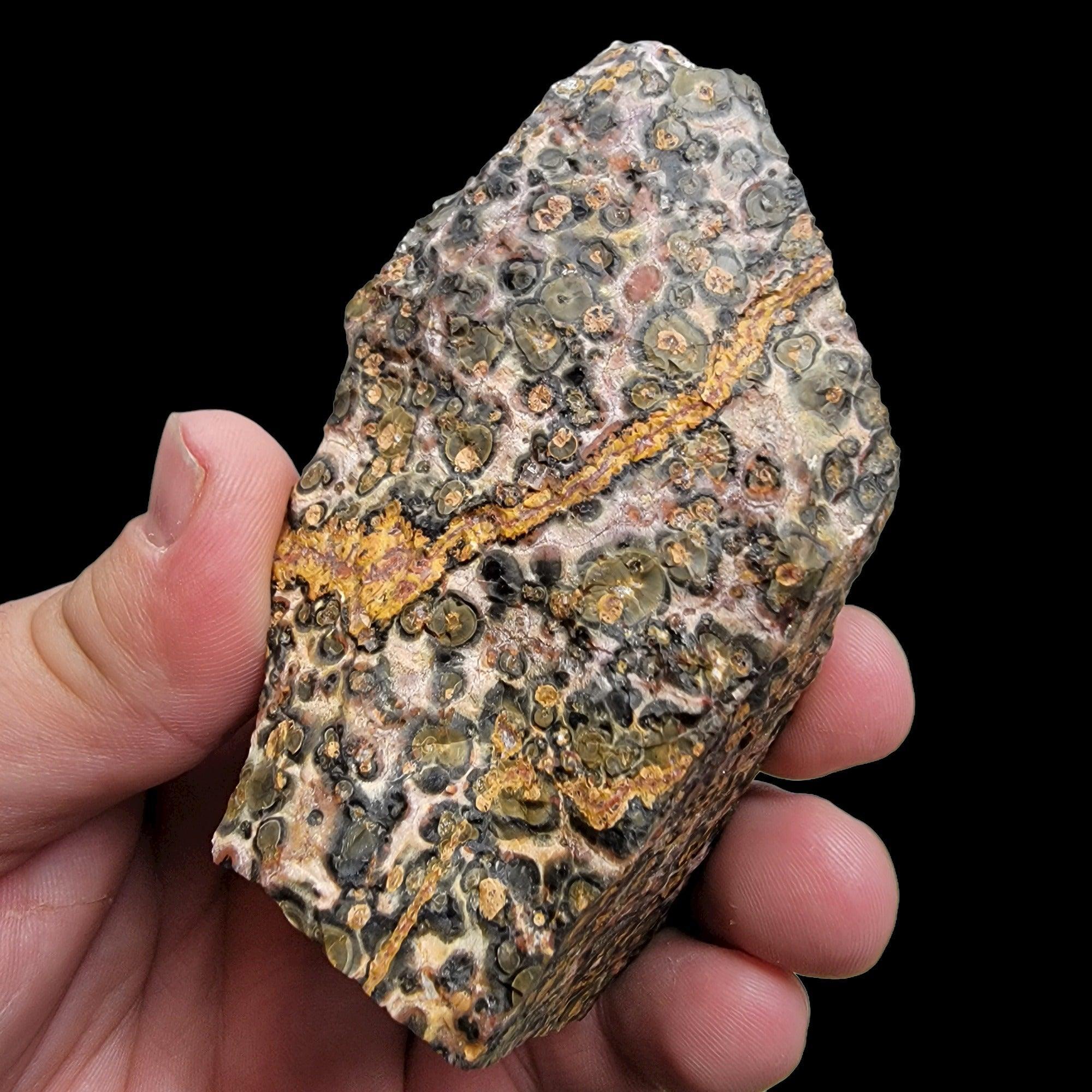 Polished Leopard Skin Rhyolite Display Specimen! - LapidaryCentral