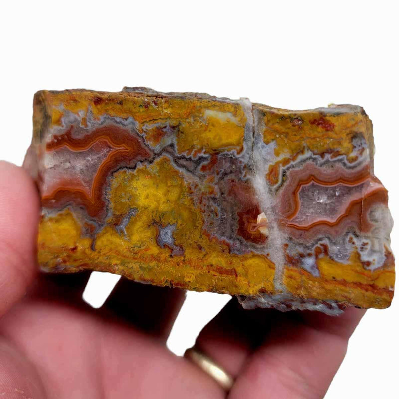 Polished Moroccan Seam Agate Display Specimen! - LapidaryCentral
