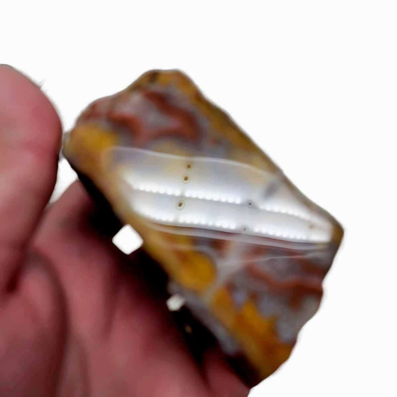 Polished Moroccan Seam Agate Display Specimen! - LapidaryCentral