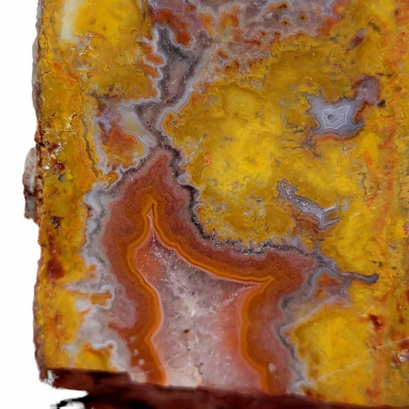 Polished Moroccan Seam Agate Display Specimen! - LapidaryCentral