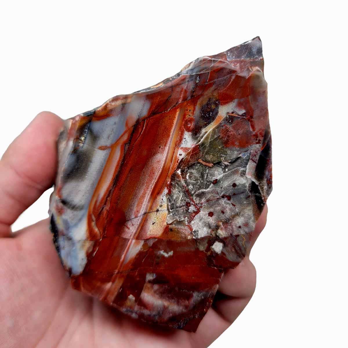 Polished Sarape Jasper Display Specimen! - LapidaryCentral