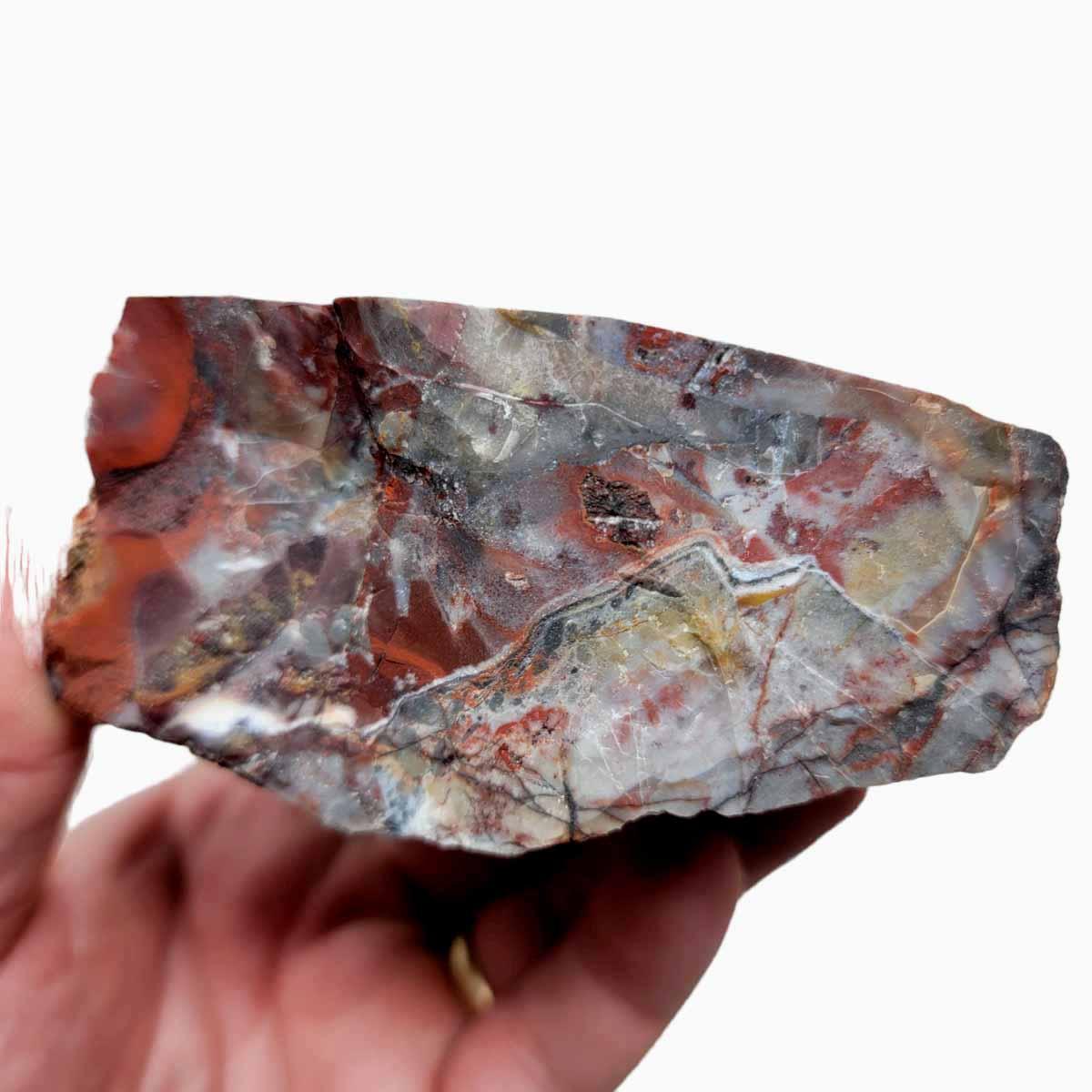 Polished Sarape Jasper Display Specimen! - LapidaryCentral